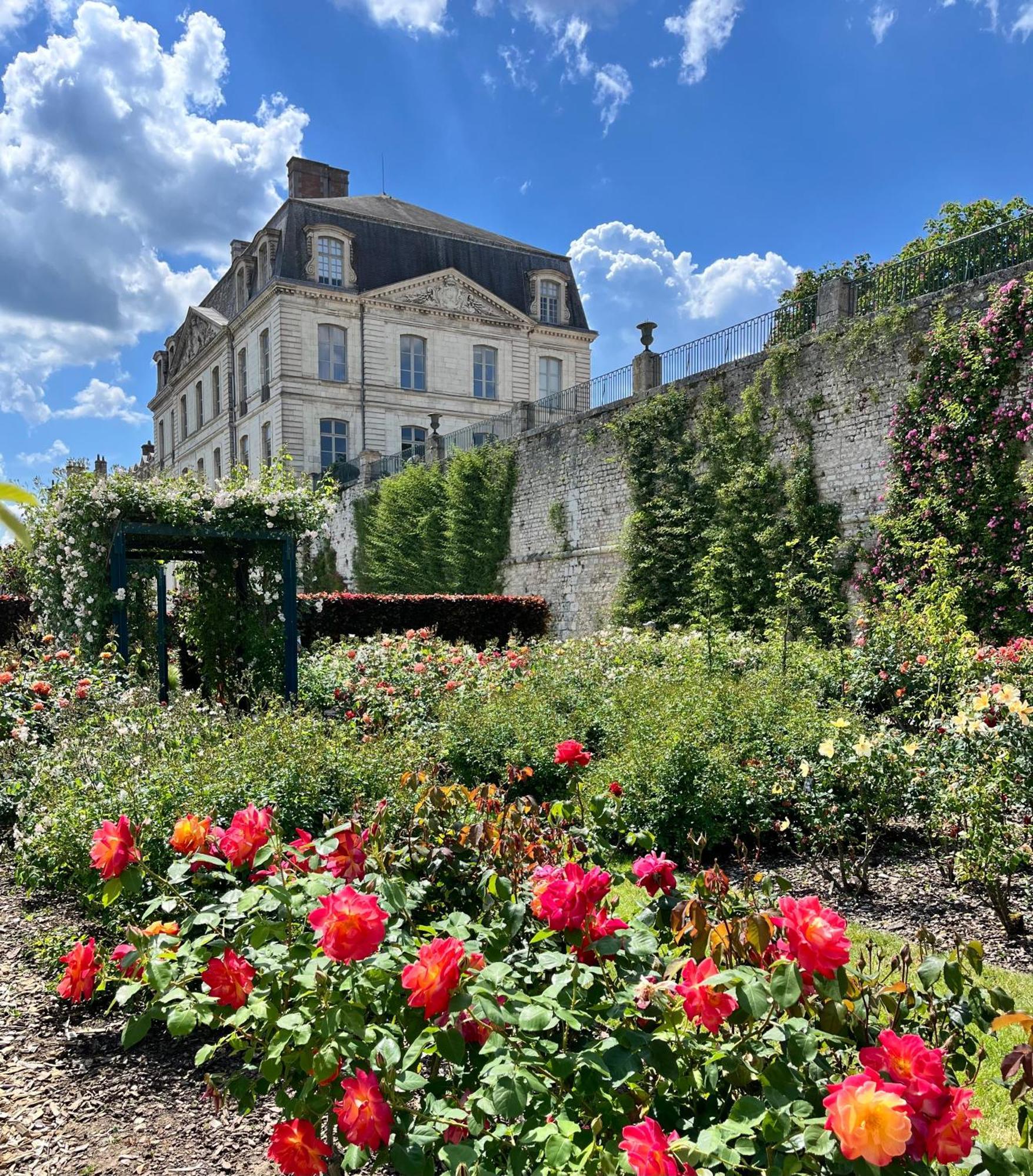 Chatel Rose - Historical Centre With Garden Blois Exterior photo